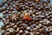 ТОП-6 продуктів, які допоможуть жити довше продуктів