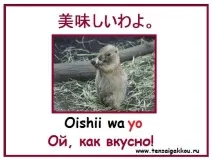Вживання частки ヨ-yo (ё) в японській мові, ЯПОНСЬКА МОВА ОНЛАЙН вживання
