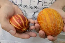 єтнамська