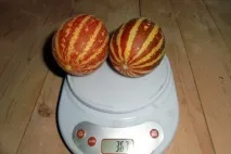 єтнамська