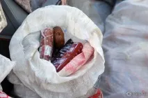 Зооволонтерство у Кемерові як допомогти бездомним тваринам кемерові
