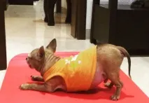 його