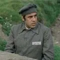 вигадки