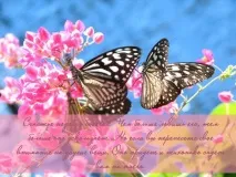 Вплив на організм зміни порядку розташування амінокислот 1) покращується робота організму порядку
