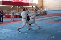 Всеукраїнський турнір з Традиційного карате ITKF турнір