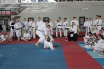 Всеукраїнський турнір з Традиційного карате ITKF всеукраїнський