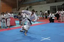 Всеукраїнський турнір з Традиційного карате ITKF турнір