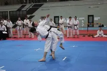 Всеукраїнський турнір з Традиційного карате ITKF всеукраїнський