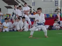Всеукраїнський турнір з Традиційного карате ITKF карате