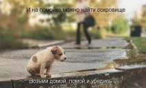 знаменитости