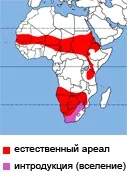 вони