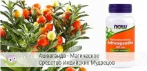 застосовувати