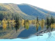 амурська
