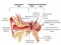 Хвороба Меньєра причини, симтоми, клінічна картина, діагностика, методи лікування симтоми