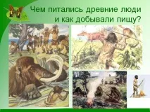 Чим харчувалися давні люди та як добували їжу - Презентація 140176-7 давні