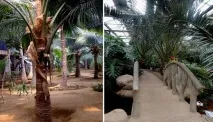 Що варто подивитися в Бейдайхе саду
