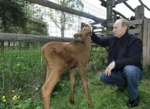 довкілля