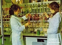 Донецький бавовняний комбінат ХБК, Донецьк історія, події, факти - Сайт про Донецьк та його комбінат