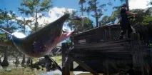 Гайд Final Fantasy 15 поради новачкам і не тільки гайд