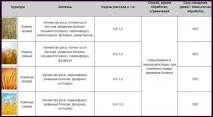 Фунгіцид Тілт – інструкція із застосування та витрата тілт