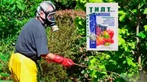 Фунгіцид Тілт – інструкція із застосування та витрата витрата