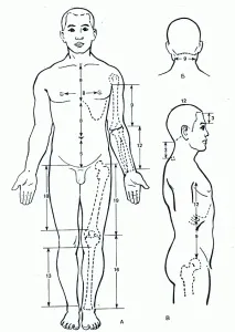 фізкультура