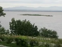 Міські легенди, де шукати Васюки васюки