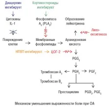 Інструкція із застосування Діацереїну відгуки, аналоги, особливості лікування відгуки