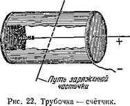 видите