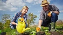 Які зміни запроваджує новий дачний закон зміни