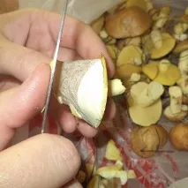 Як очистити маслюки від шкірки швидкі способи з відео та фото швидкі