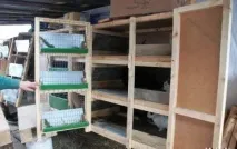 Як зробити клітини для кроликів Золотухіна креслення, розміри клітини