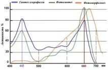 Як зробити підсвічування для розсади світлодіодними лампами - My Life розсади