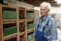 Як зробити клітини для кроликів Золотухіна креслення, розміри зробити