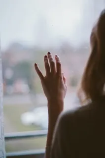 Як добре, що є на світі Коти, Смішні Анекдоти Історії Цитати Афоризми Вірші Зображення коти