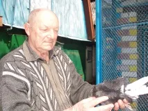 Колісник та голуби, Новини Чернігова та Чернігівщини, Чернігівський міський портал «SiverNews» новини