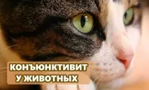 лікується