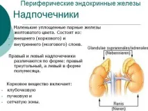 Кортикотропін рецепт, інструкція із застосування та ціна рецепт