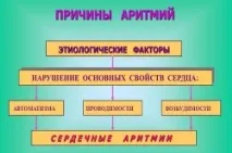 Ліки від аритмії серця для літніх, жінок, чоловіків, список, що пити в домашніх умовах, при ліки