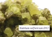 ЛІКУЄ, ВІДНОВЛЮЄ, ЗАХИЩУЄ лікує