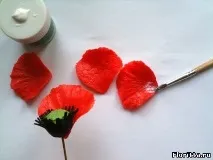холодної порцеляни