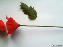 холодної