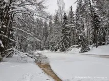 линдуловска