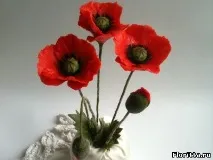 холодної