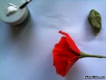 холодної