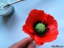 холодної порцеляни