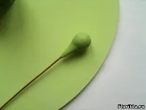 порцеляни