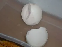 Мозайка з яєчної р клас яєчної