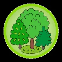 сіра