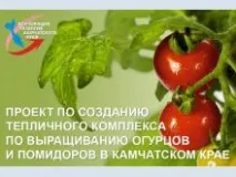 Огірки, помідори, зелень та салат зростатимуть на Камчатці цілий рік огірки